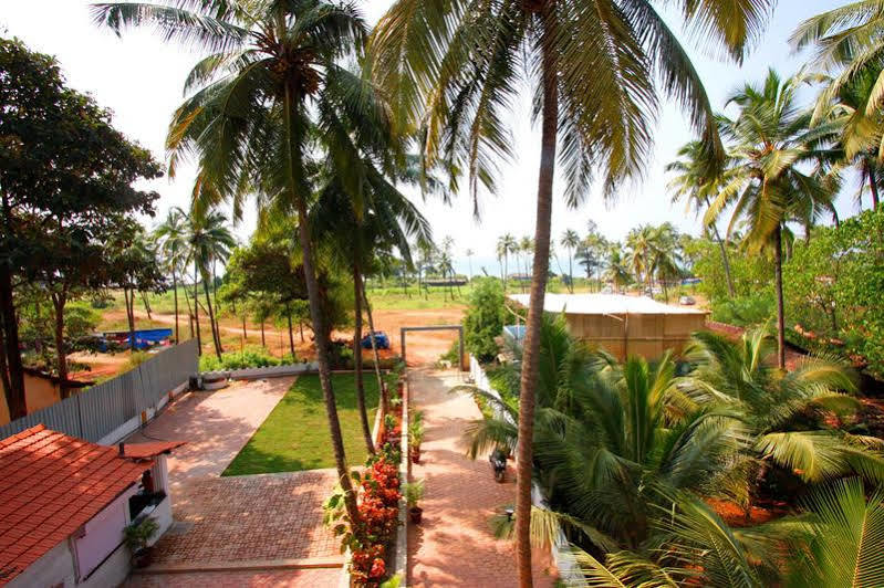 Spot On 39618 El Paso Hotel Arambol Luaran gambar